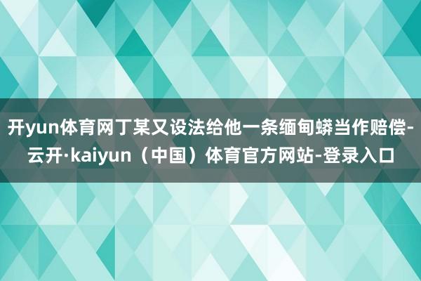 开yun体育网丁某又设法给他一条缅甸蟒当作赔偿-云开·kaiyun（中国）体育官方网站-登录入口