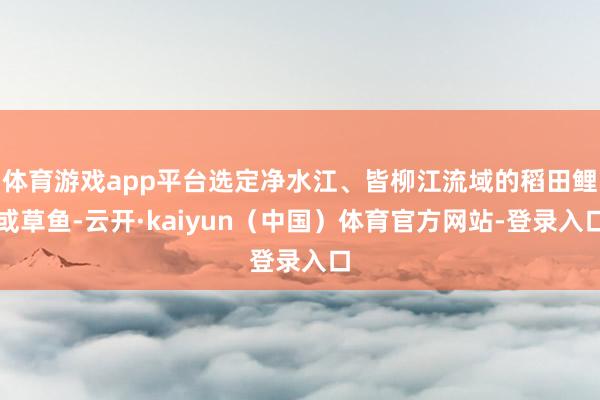 体育游戏app平台选定净水江、皆柳江流域的稻田鲤或草鱼-云开·kaiyun（中国）体育官方网站-登录入口