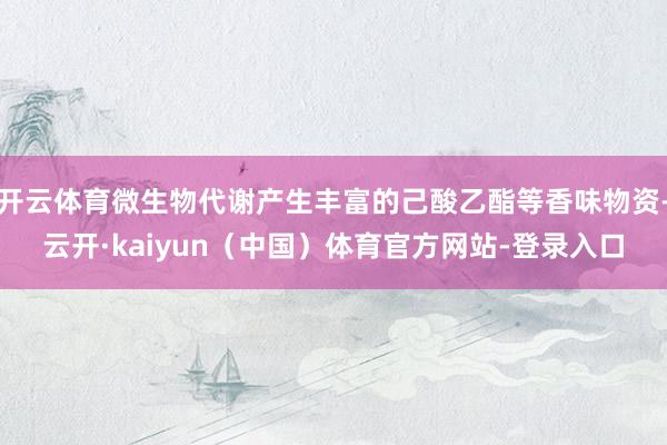 开云体育微生物代谢产生丰富的己酸乙酯等香味物资-云开·kaiyun（中国）体育官方网站-登录入口